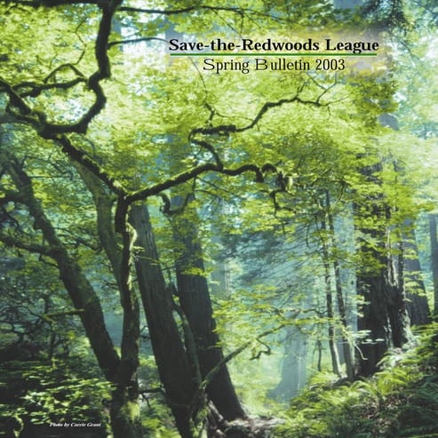 Spring bulletin 2003 ~ save the redwoods league