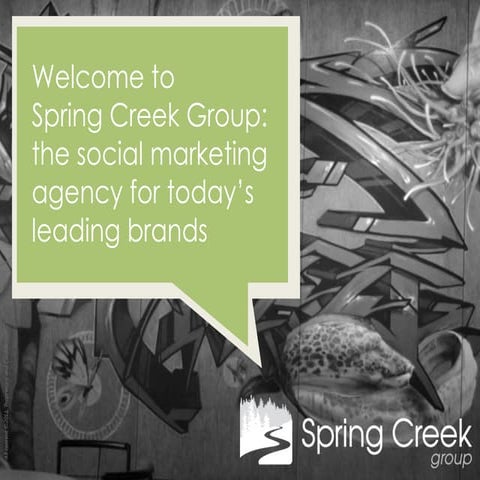 Spring Creek Group Capabilities