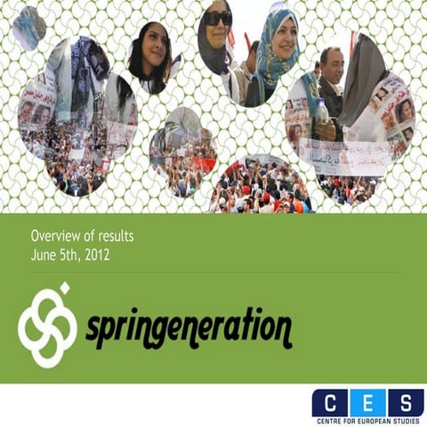 Springeneration.eu - Summary report