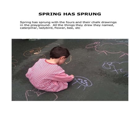 SPRING HAS SPRUNG | PDF