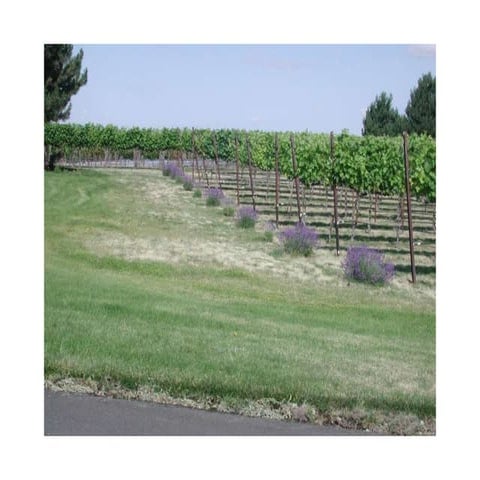 Spring in Walla Walla slideshow