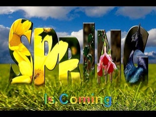 SPRING IS COMING 