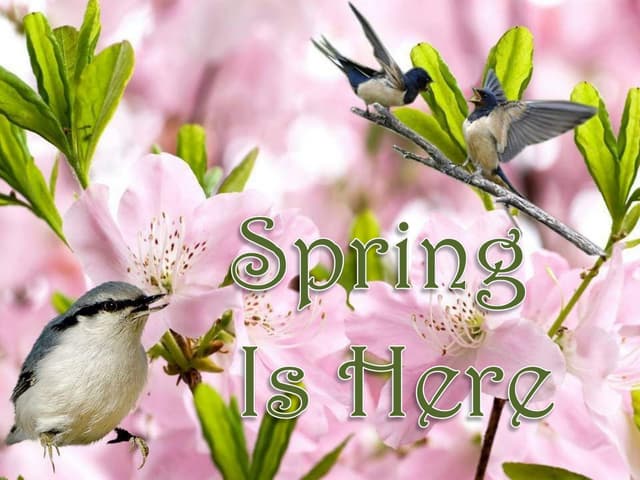 Spring is here