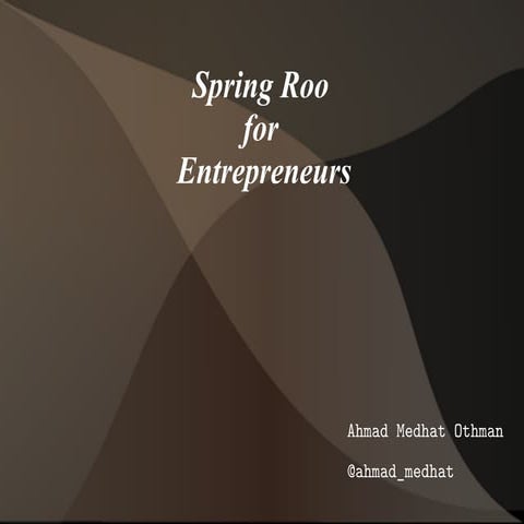 Spring roo for entrepreneurs