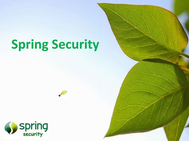 Spring security