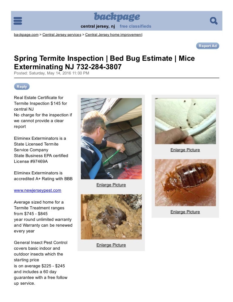 Angies List Termite Inspection Bed Bug Estimate Mice Exterminating Nj Central Jersey Carpentry_painting Backpage Angies List Termite Inspection Bed Bug Estimate Mice Exterminating Nj Central Jersey Carpentry_painting Backpage
