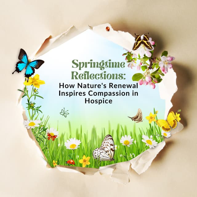 Springtime Reflections How Nature's Renewal Inspires Compassion in ...