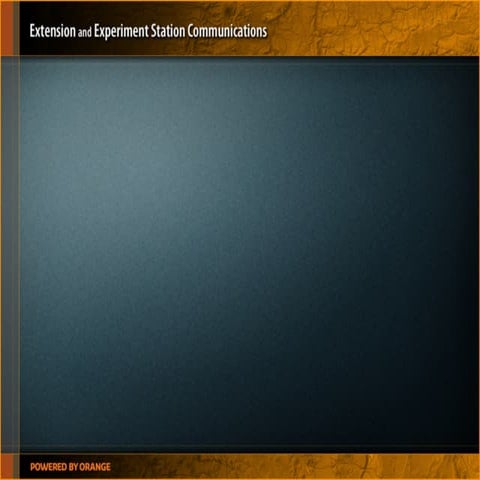 More On Drupal - OSU Spring Training 2010