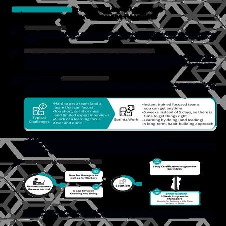 Sprintz work Fact Sheet