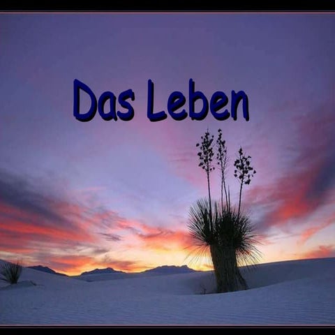Das Leben