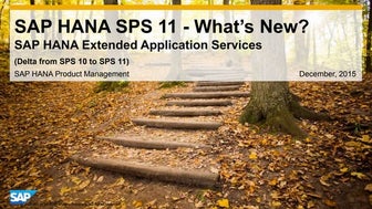 SAP HANA Native Application Development