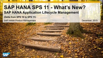 What's New in SAP HANA SPS 11 Application Lifecycle Management