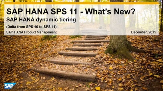 What's new for SAP HANA SPS 11 Dynamic Tiering