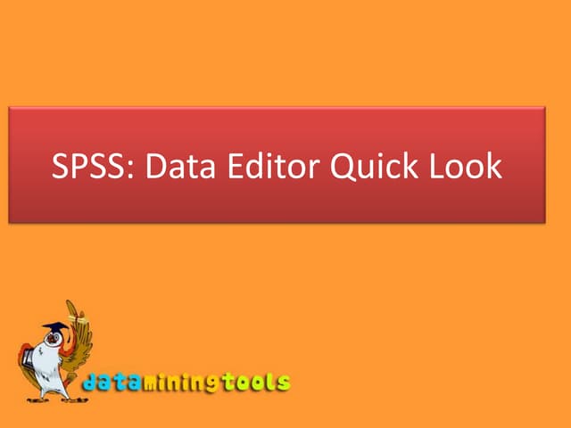 SPSS: Data Editor