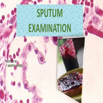 Sputum Examination and Analysis 