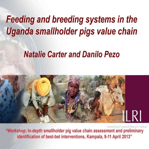 Feeding and breeding systems in the Uganda smallholder pigs value chain