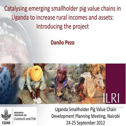 Catalysing emerging smallholder pig value chains in Uganda to increase rural ...