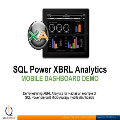 XBRL Analytics Demo | SQL Power Group | PPT