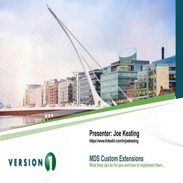 Sql Saturday Dublin 2017 - Master Data Services Custom Extensions