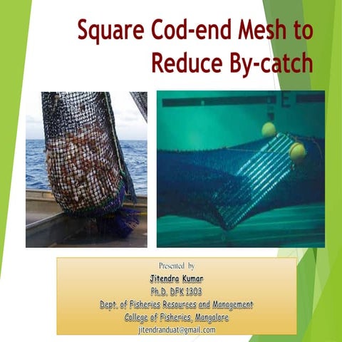 Square codend mesh 