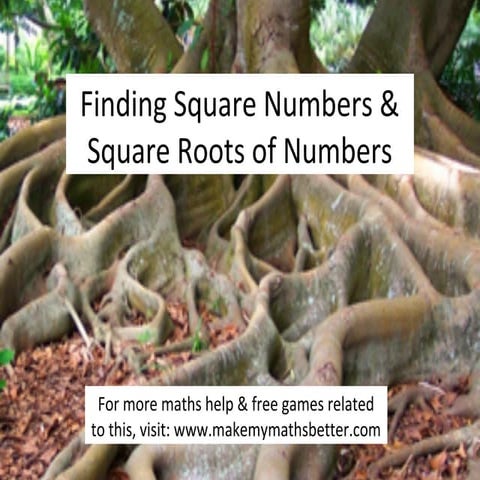 Square Numbers & Square Roots of Numbers