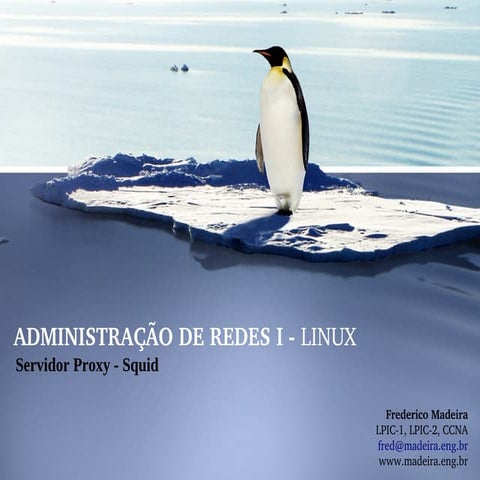 Servidor Proxy Squid