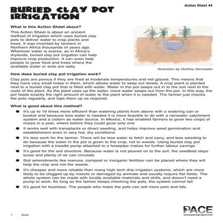 Buried Clay Pot Irrigation System for Drougth Gardening