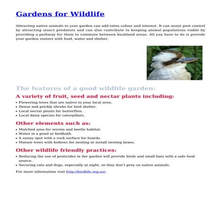 Rewilding Project | PPTX