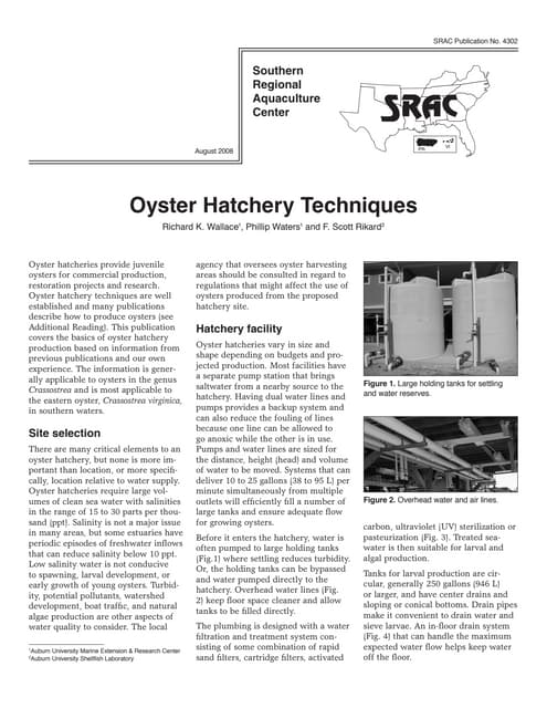 Srac4302 oyster hatchery_techniques...