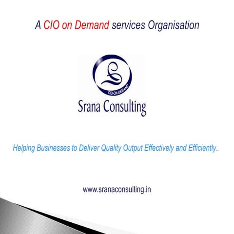 Srana Consulting - CIO On Demand