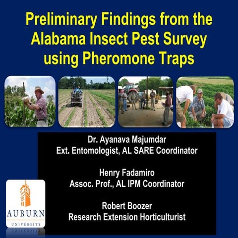 What are Insect Pheromone Traps | PPT
