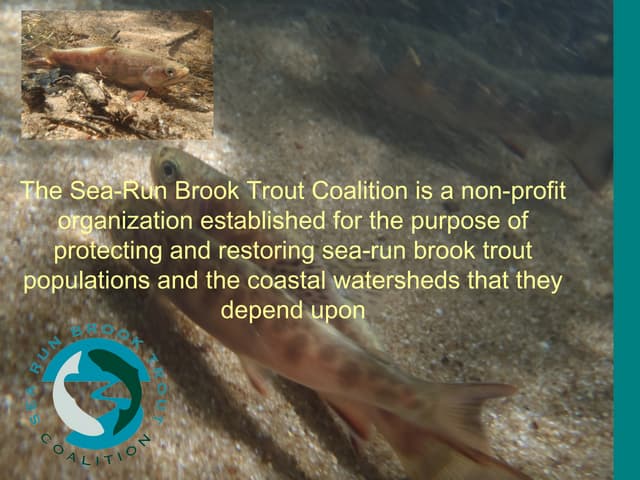 SRBTC Presentation to GBTU, Boston MA, Jan 2015