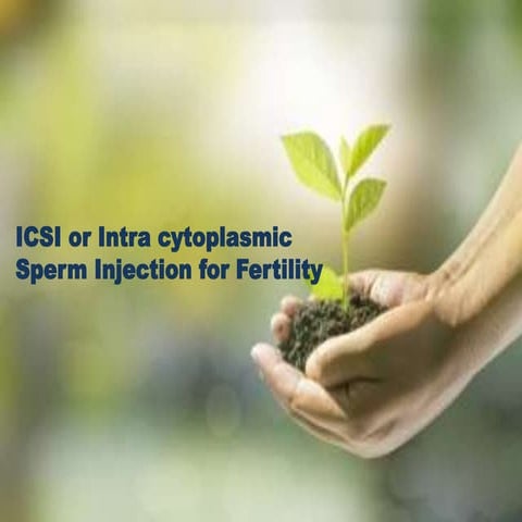 Intracytoplasmic Sperm Injection - ICSI | PPTX