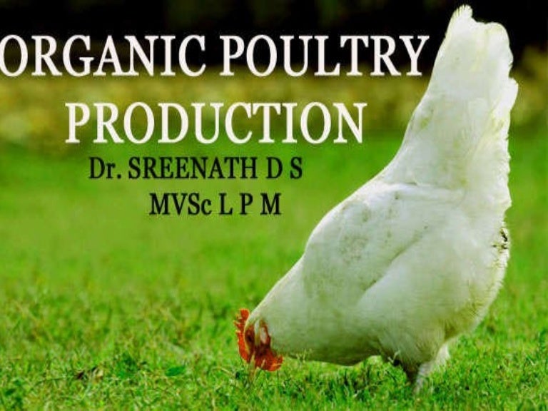 Sample business plan for poultry farming in kenya pdf picture