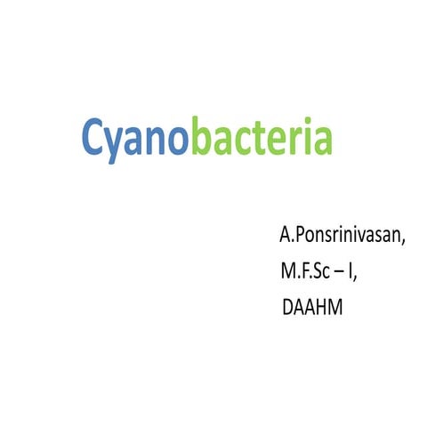 Cyanobacteria