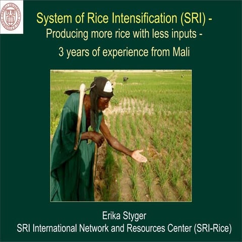 1042 System of Rice Intensification (SRI) -Producing more rice with less inpu...