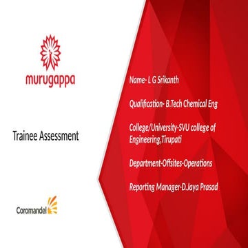 PPT on Offsites in Fertilizer manufacturing Company