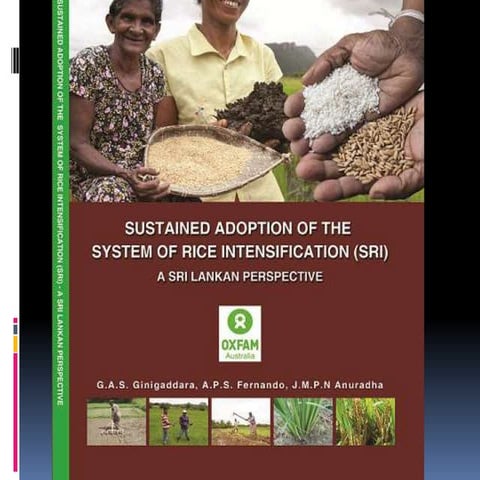 Organic Rice Production and SRI - Mr. Boondit Varinruk | PDF