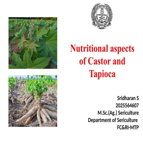 Caster Crop cultivation practices | PPTX