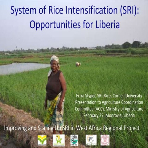 1401 SRI: Opportunities for Liberia