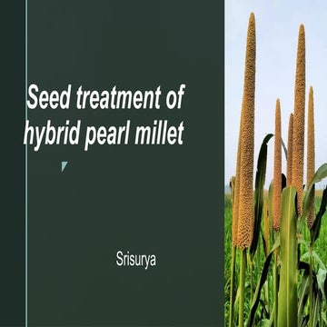 hghhhhhhhhhhhhhjjjjjjjjjjjjjjjjjjja.pptx