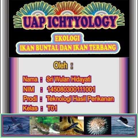 Ikan Buntal dan Ikan Terbang-Ichtyology