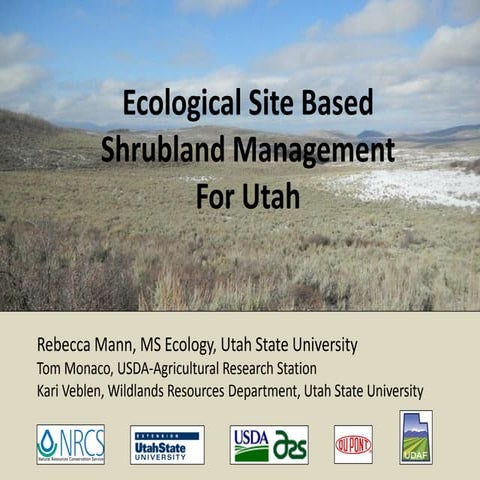 Ecosystem: Importance of Grassland and Scrub | PPTX