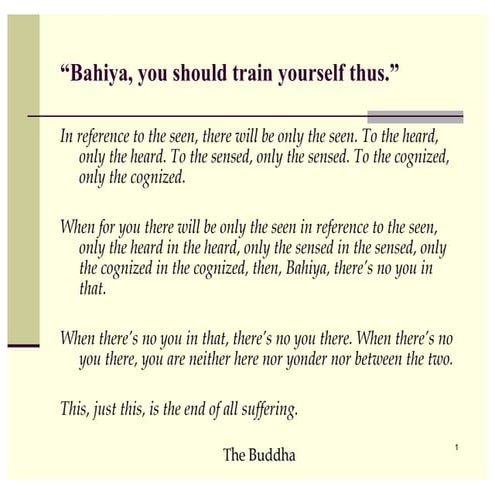 Not-Self in the Brain