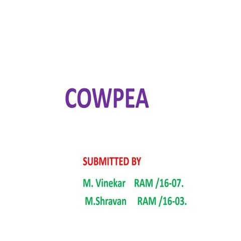 COWPEA