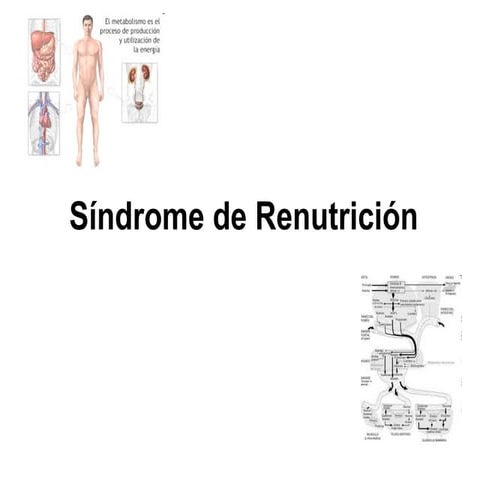 Srn def  jimena abilés  gilda 2010