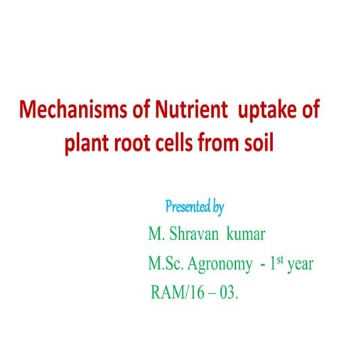 MECHANISMS OF NUTRIENT UPTAKE FROM SOIL 