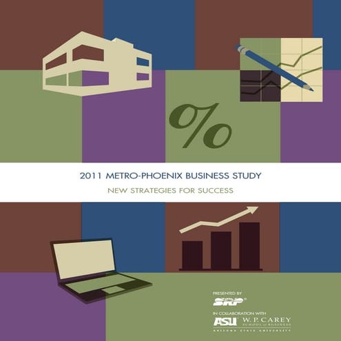 SRP Metro Phoenix Business Study