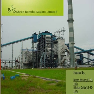 Shree Renuka Sugars Limited
