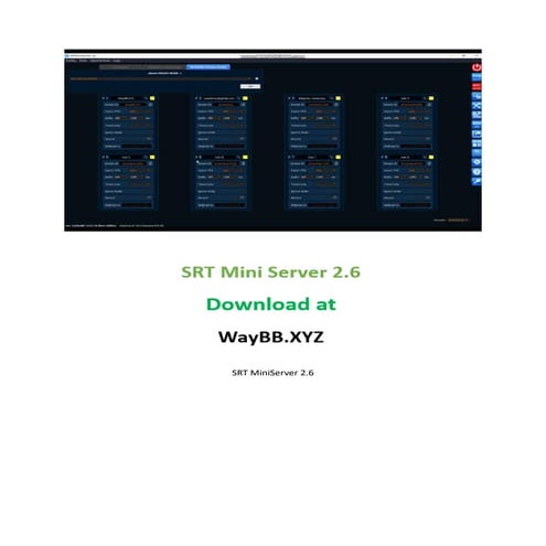 SRT MiniServer 2.6.6 Comprehensive v2026 | PDF